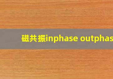 磁共振inphase outphase